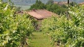 Cardone: Imu agricola aliquota eccessiva