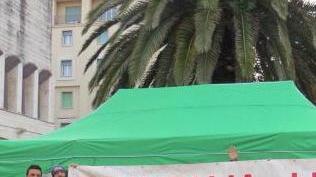 «Tosap sul gazebo Trw? È falso»