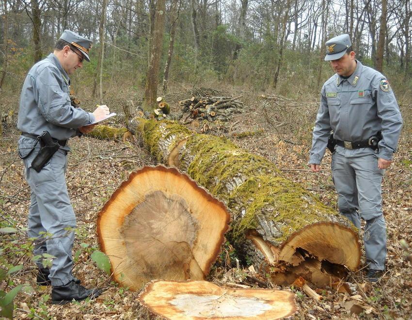 Ambiente, multe per mezzo milione 