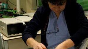 Bonus per i figli a Fabbriche: 300 euro in farmacia