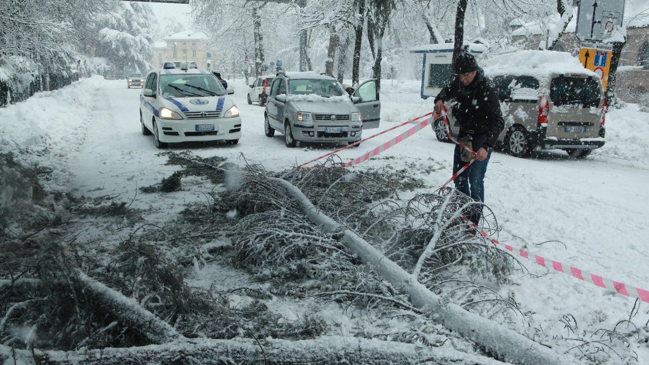 Emergenza neve a Reggio Emilia, in 150 mila senza elettricità e al gelo. I comuni aprono le palestre per ospitare anziani e bambini