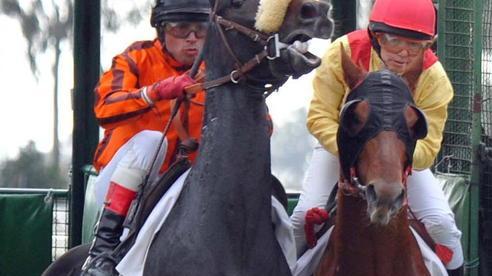 Riapre l’ippodromo del Casalone