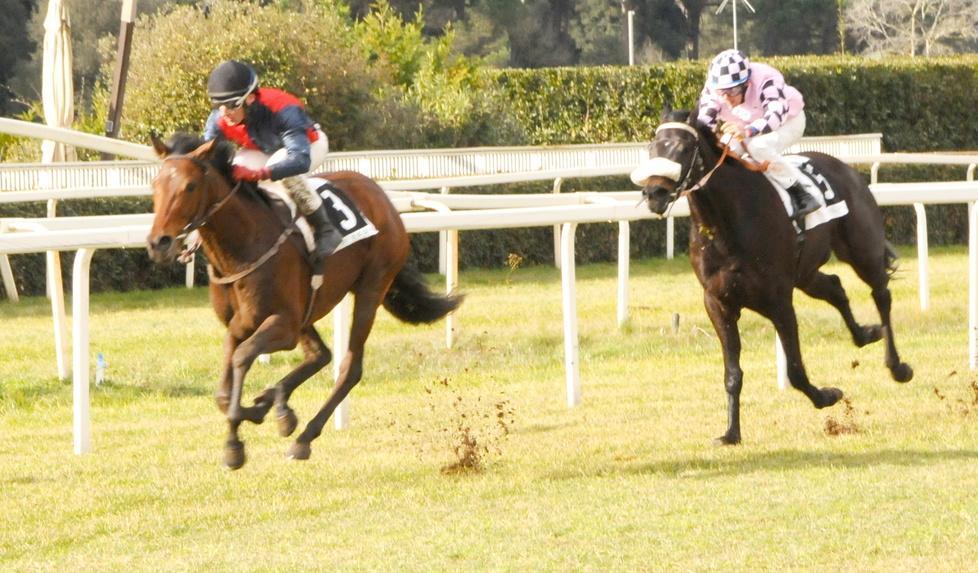 Kostabi non teme il freddo il premio Giannessi è suo 