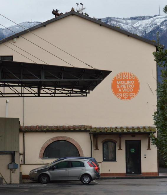 Il gruppo sarà all’Expo di Milano col glutine tollerabile dai celiaci 