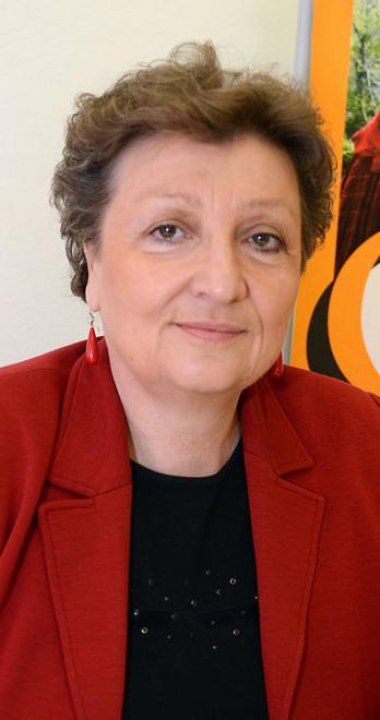 «Civica, ora il direttore non ci serve» 