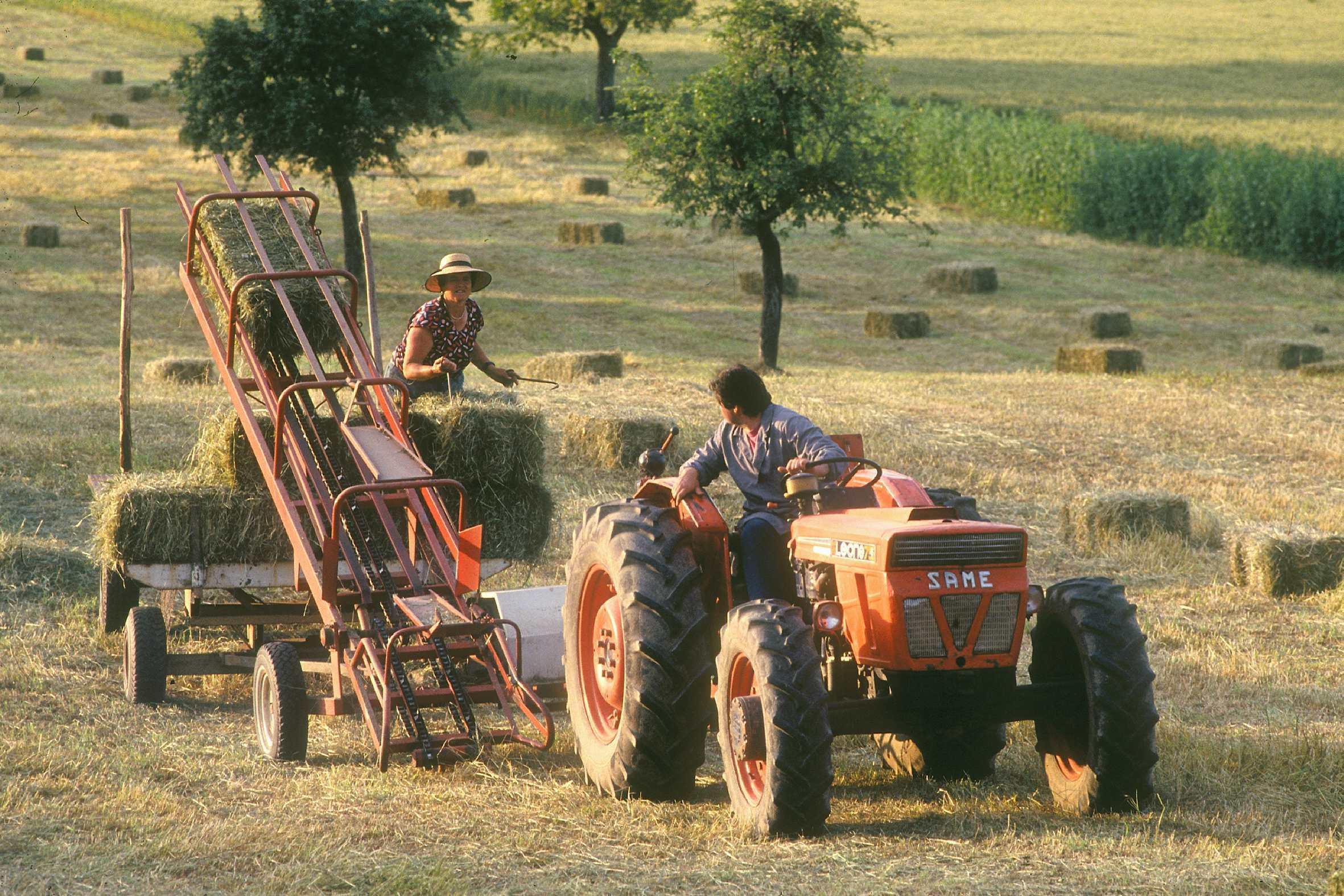 Imu agricola: appello di Coldiretti ai Comuni dove si pagherà