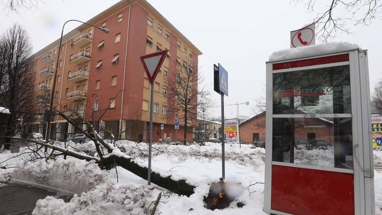 Federconsumatori: "Black out, ecco come ottenere i rimborsi"