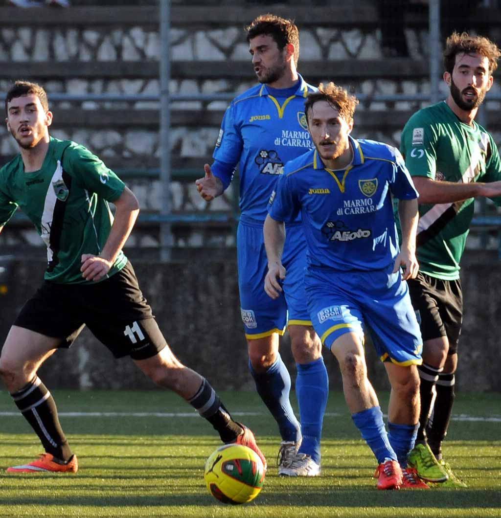 Galli in azione