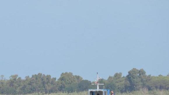 Stop alle macroalghe e costi diminuiti Bilancio della laguna