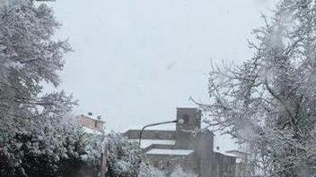 Neve in alta quota, polemiche roventi sulle scuole chiuse
