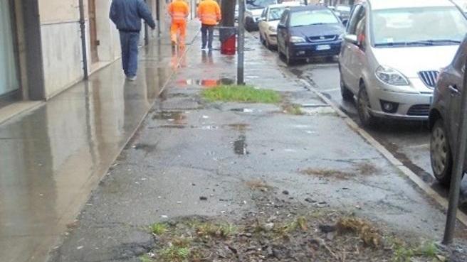 «Strada in condizioni pietose serve un intervento urgente»