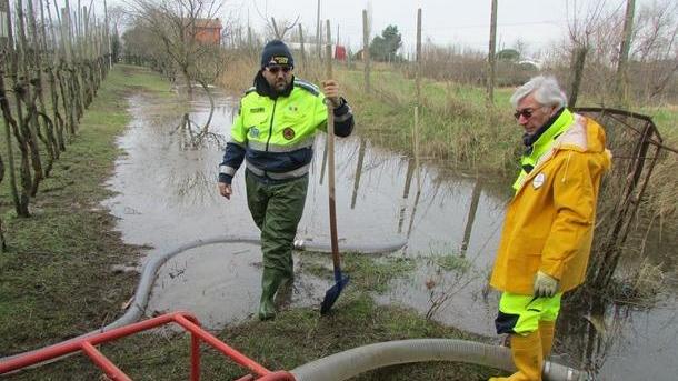 Torna La Quiete Ma Si Contano I Danni La Nuova Ferrara Torna La Quiete Ma Si Contano I Danni La Nuova Ferrara
