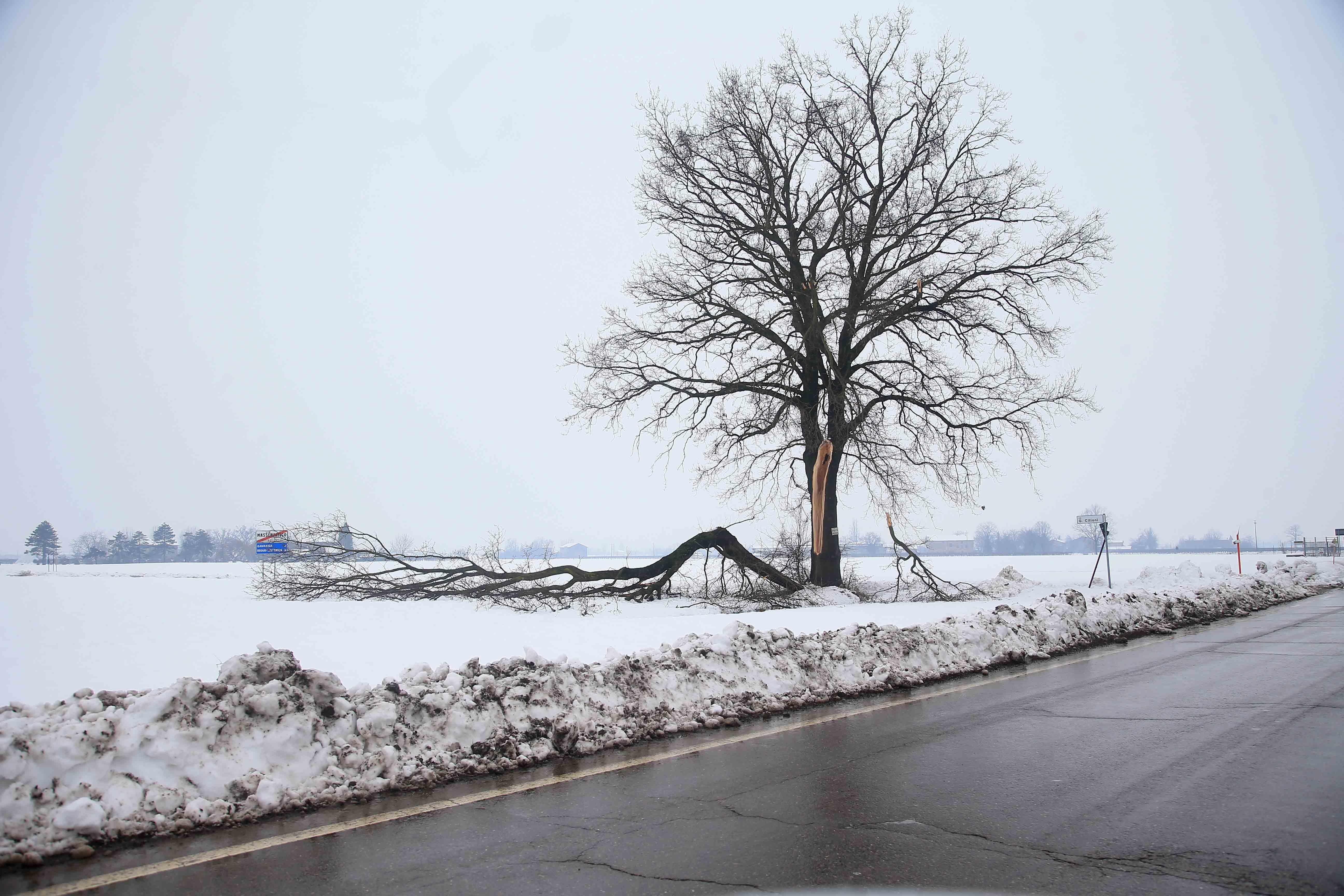 Black-out, Enel stima un'altra notte al gelo per 4mila reggiani. I sindaci fanno causa alla società elettrica. Lunedì alcune scuole chiuse a Lemizzone e Baiso 