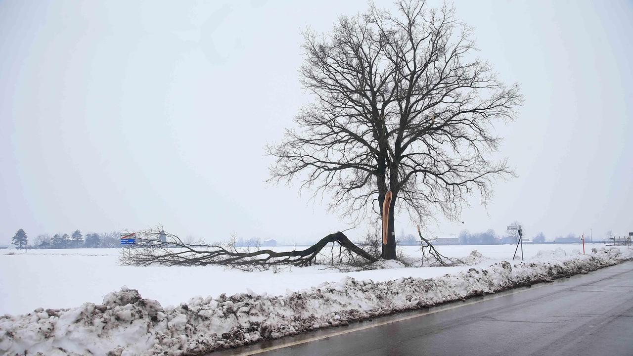 Black-out, Enel stima un'altra notte al gelo per 4mila reggiani. I sindaci fanno causa alla società elettrica. Lunedì alcune scuole chiuse a Lemizzone e Baiso