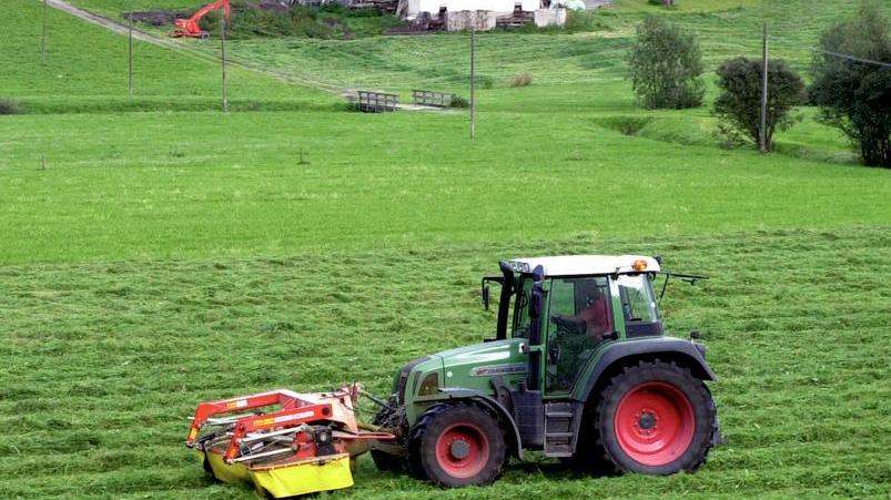 Imu: appello di Coldiretti «Aiutamo gli agricoltori»