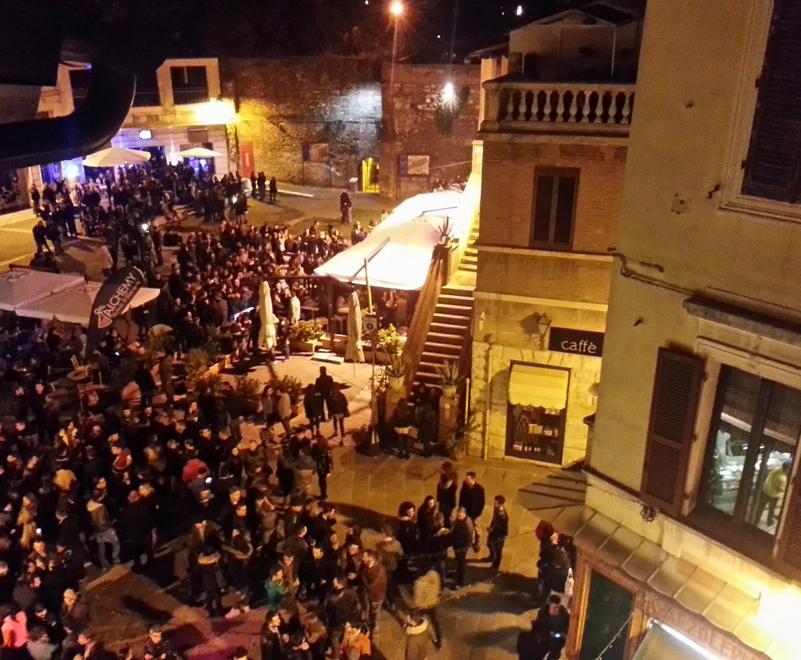 Blitz nei locali della movida con i cani poliziotto 