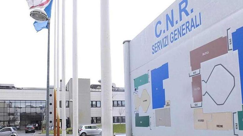 Concorsi pubblici - Cinque bandi col marchio Cnr