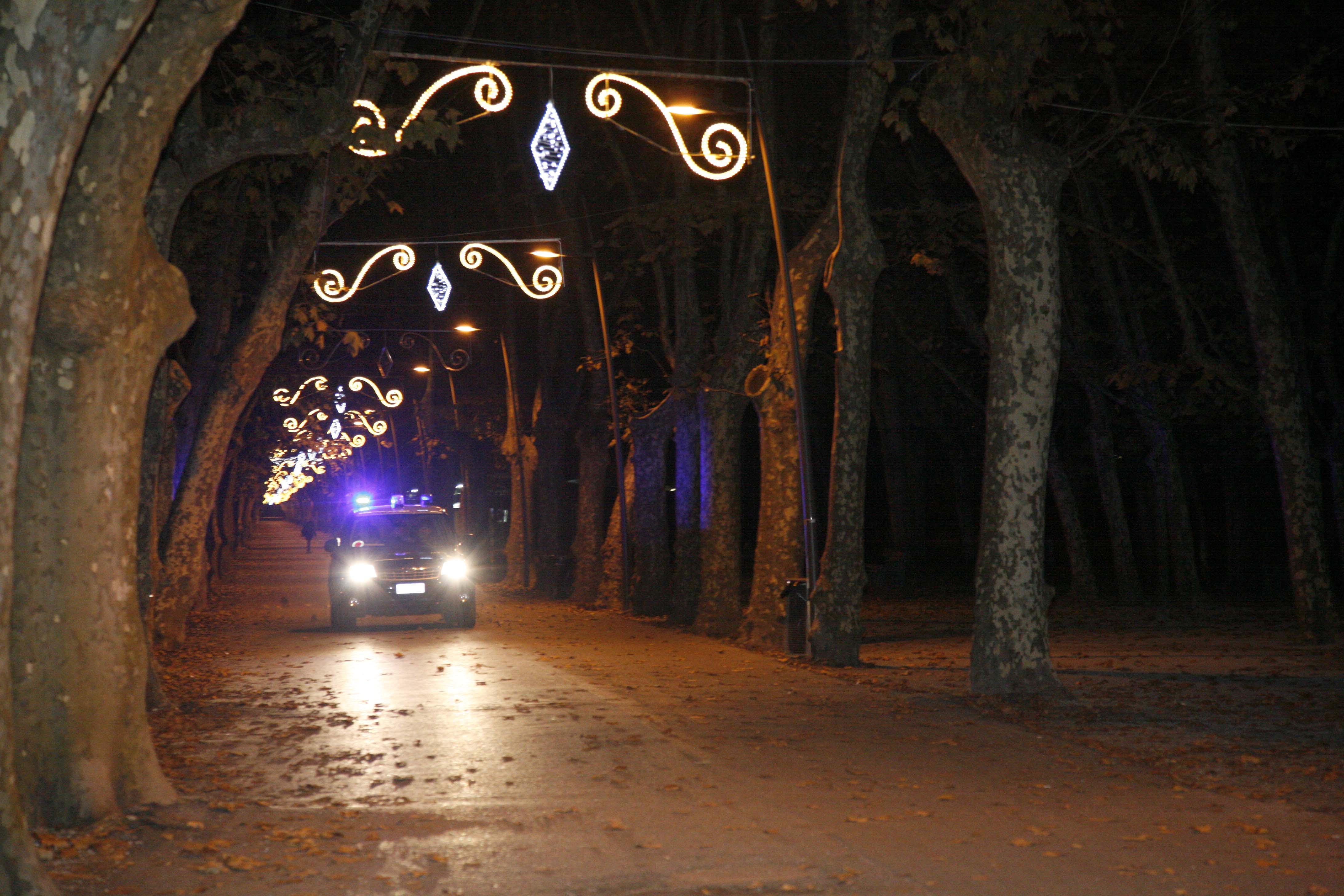 Controlli dei carabinieri sul viale Capponi in pineta di Ponente