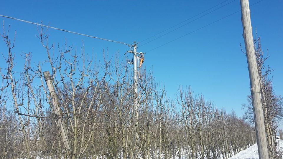 Black out elettrico, il caso finisce in parlamento