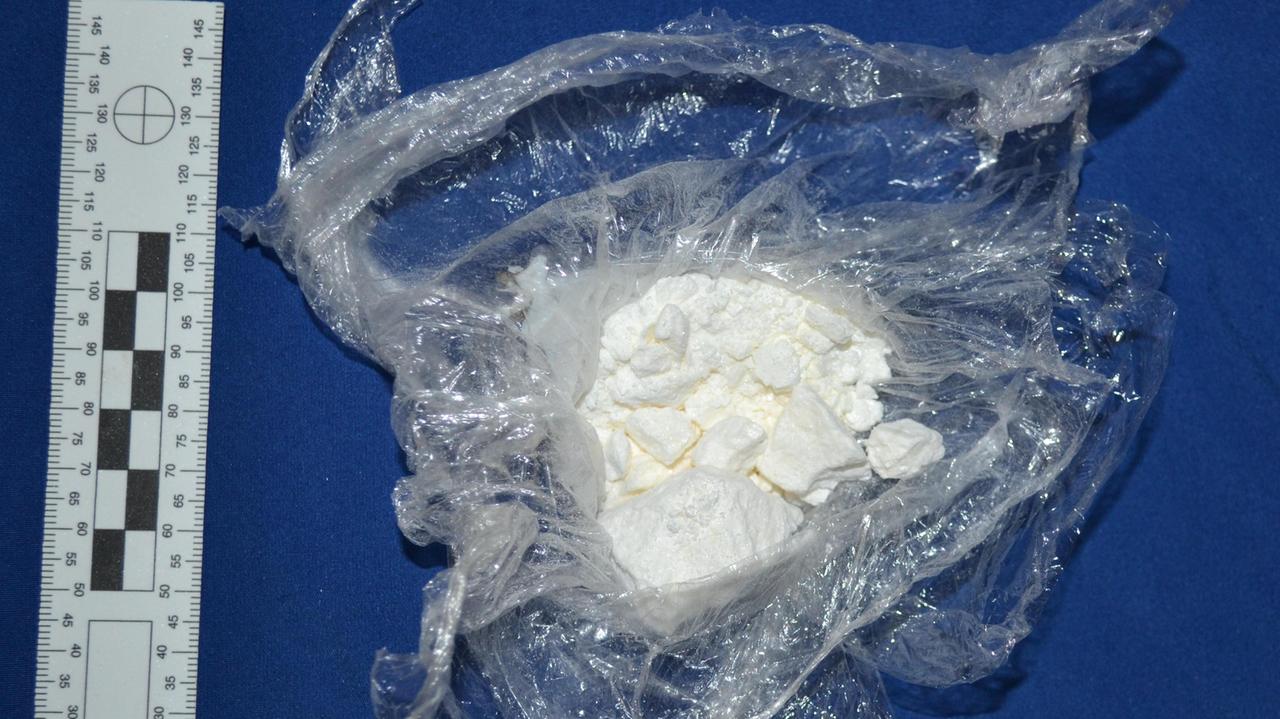 I 25 grammi di cocaina sequestrati dalla polizia