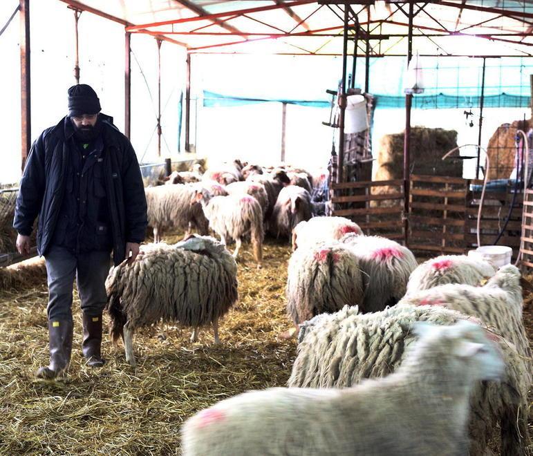 «Basta impianti, mi licenzio e faccio l’agricoltore» 
