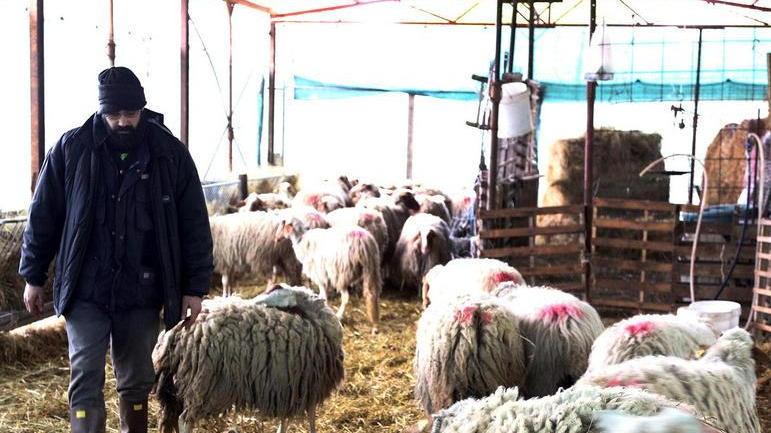 «Basta impianti, mi licenzio e faccio l’agricoltore»