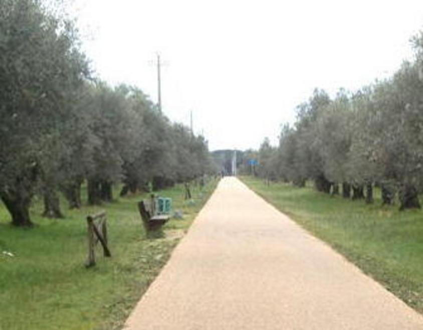 Piste ciclabili in degrado l’analisi della lista Insieme