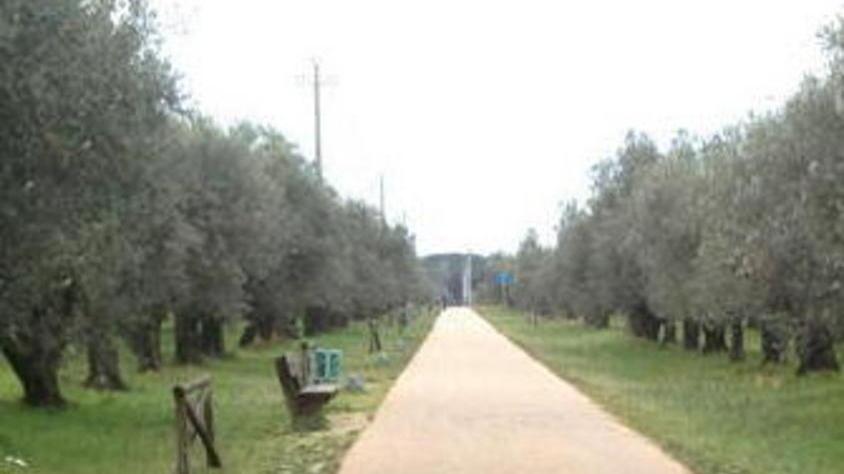 Piste ciclabili in degrado l’analisi della lista Insieme