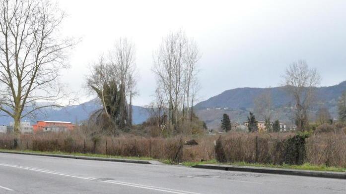 Chiari condannato per falso ma non ci fu corruzione