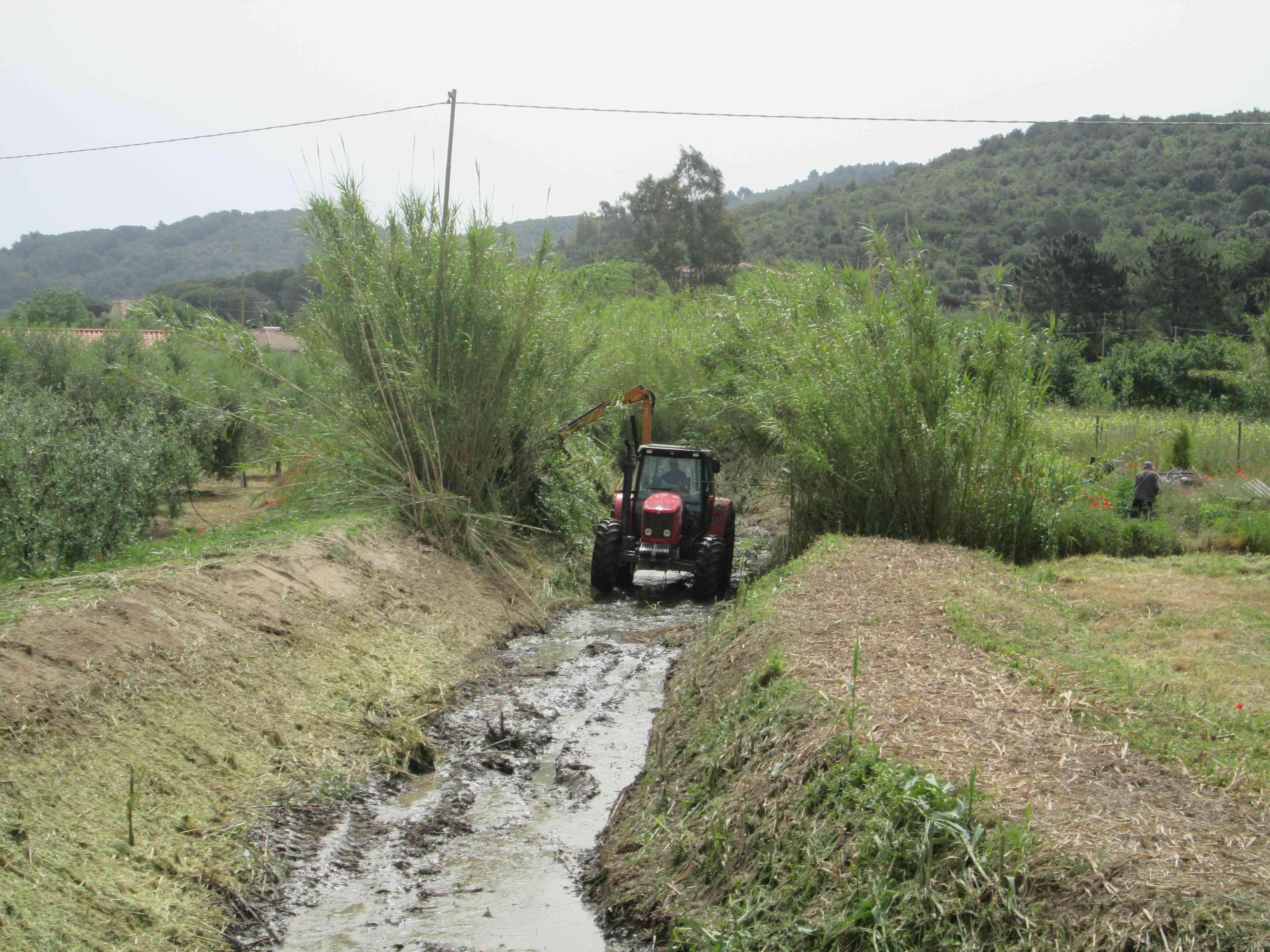 Lavori nel fosso degli Alzi a Campo