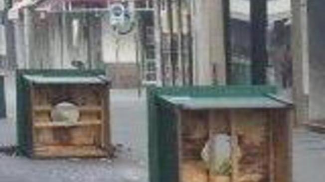 Dalle fioriere alle statue rotte: troppi episodi