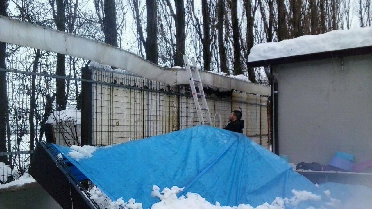 Box bloccati e senza luce ma i volontari fanno miracoli