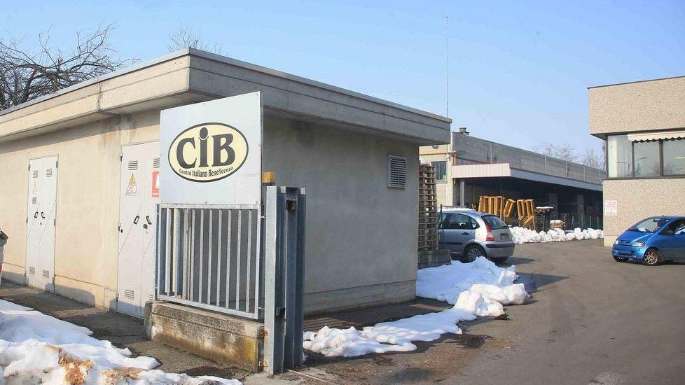 Rubati oltre 100 bancali in legno