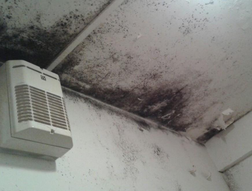 Muffa in casa, appello dal Poggio 