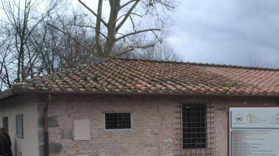 associazioni in lizza