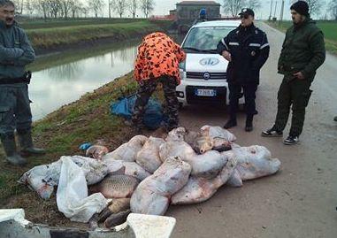 Pesca di frodo, un vertice in prefettura