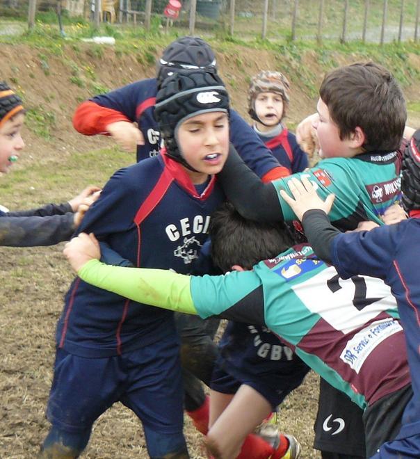 Terribili Etruschini, gli Under 10 trionfano anche a Rosignano
