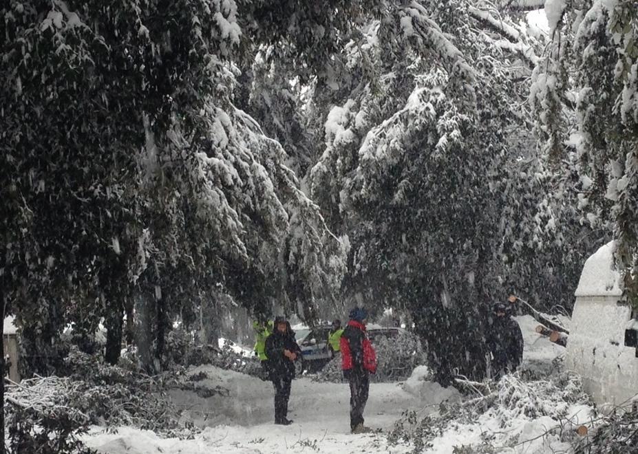 «Una nevicata costata 1 milione di euro» 