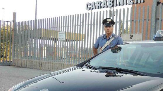 Denunciato il padrone dei cani-killer
