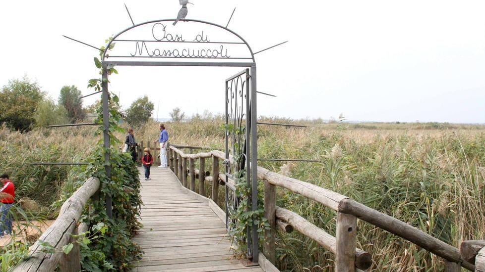Il Centro visite Lipu di Massaciuccoli è a rischio di chiusura