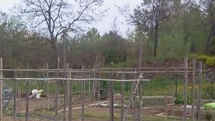 Barbieri: «Si incentivino gli orti urbani»