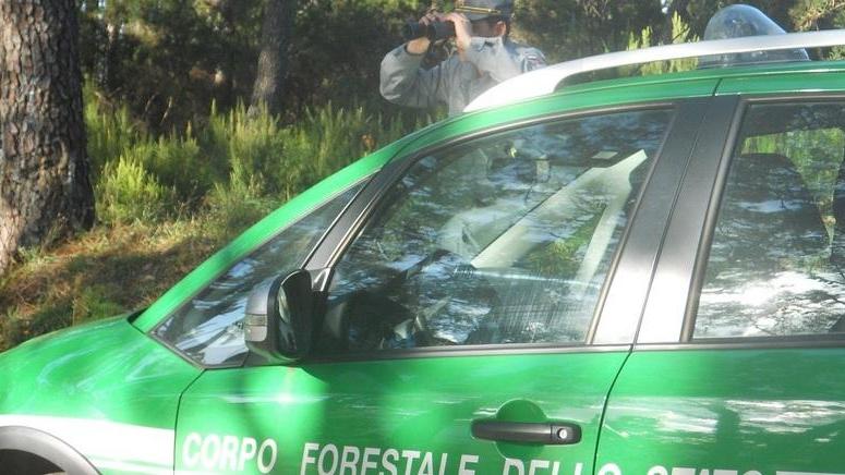 Concorsi pubblici - La Forestale in cerca di 393 giovani