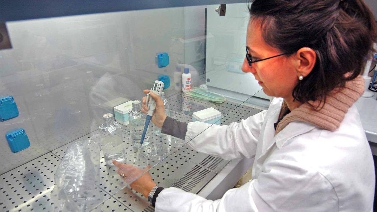 Analisi dell'acqua in un laboratorio (foto d'archivio)