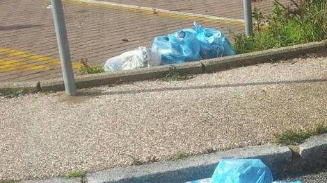 «Ecco perché due euro per la sosta»