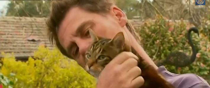 Giornata nazionale del gatto, ecco dieci storie di felini straordinari 
