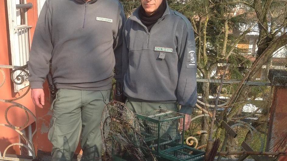 Caccia illecita agli uccelli, sequestrate alcune trappole