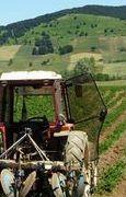 «Imu agricola: ora chi rimborsa?» 