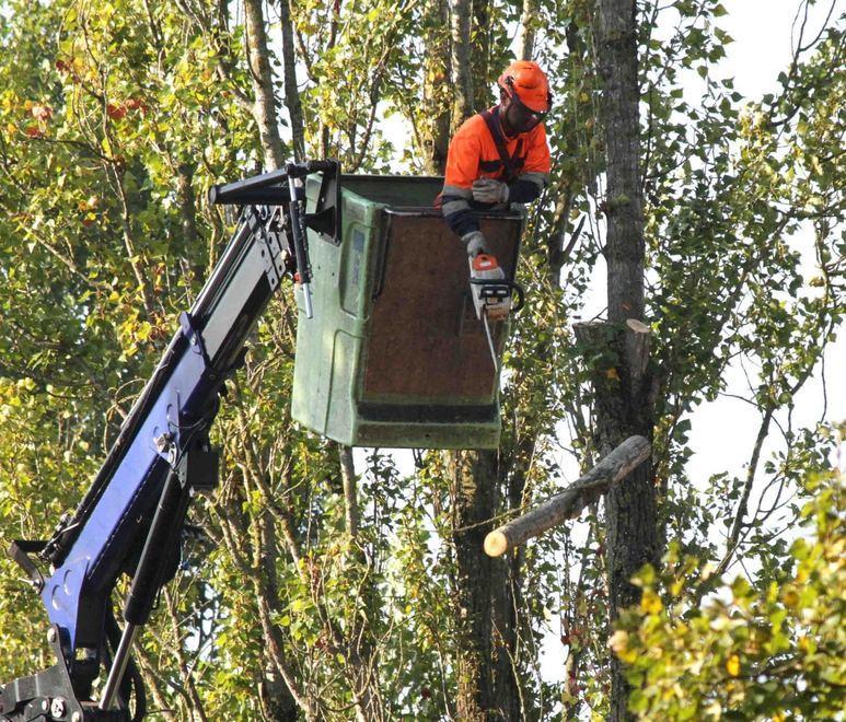 Lavori al metanodotto Variazioni alla viabilità