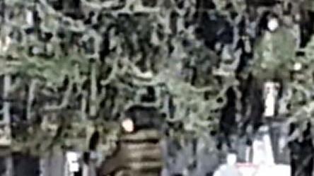Bar, lavanderia, scuole I ladri non si fermano