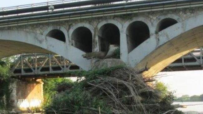 Ripuliti i piloni sul Serchio dalla massa di detriti